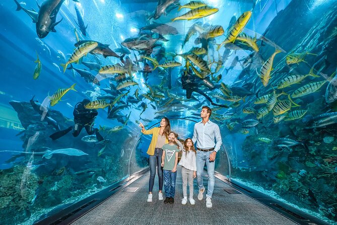 Exploring Dubai's Deepest Aquariums